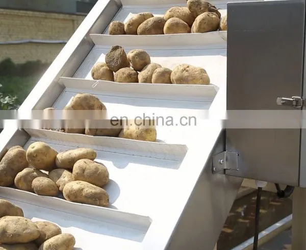 50kg One Hour Small Scale Industry in India Potato Fries French Fried Potatoes Production Line photo-4