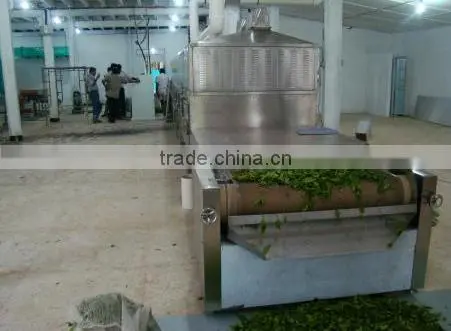 High Efficient Industrial Microwave Dryer Machine photo-6