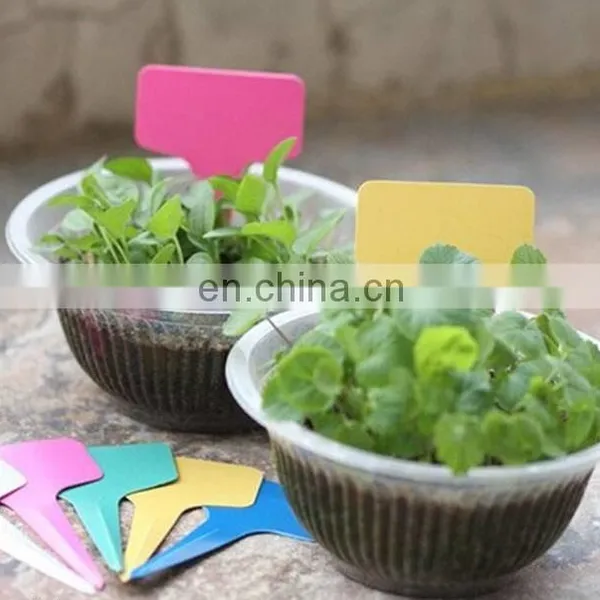 Plastic Waterproof Plant Labels photo-3