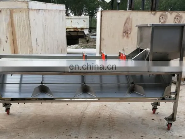 Automatic Sorter Citrus Fruits Vegetable Size Sorting Grading Machine for Dates Olive Apple photo-4