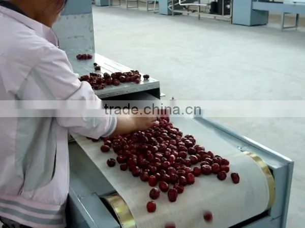 Belt Type Cocoa Powder Microwave Drying Sterilization Machine Quality Choice