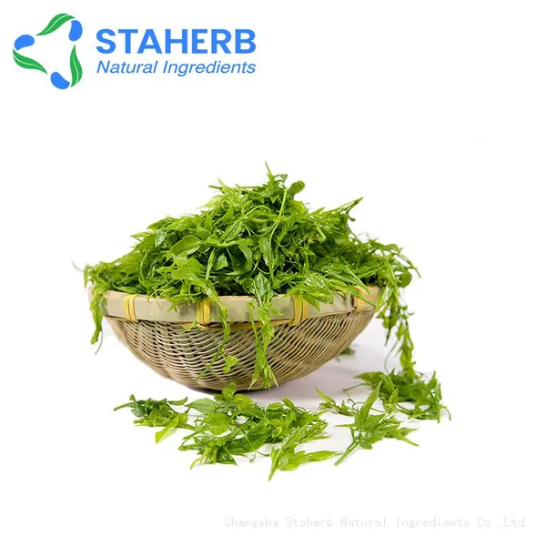High Quality Best Quality Vine Tea Extract Dihydromyricetin DHM Cas number 27200-12-0