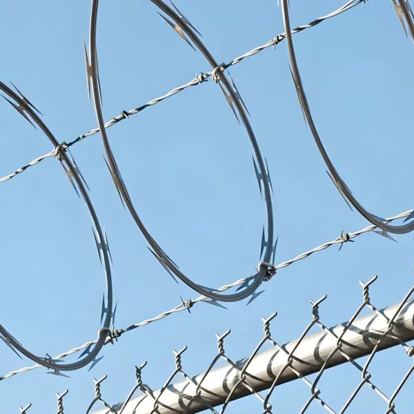 Bobina de arame farpado de aço dobrado e galvanizado com tipo de segurança cruzada