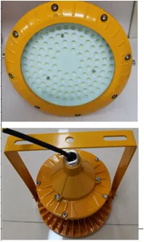 Explosion-proof Light