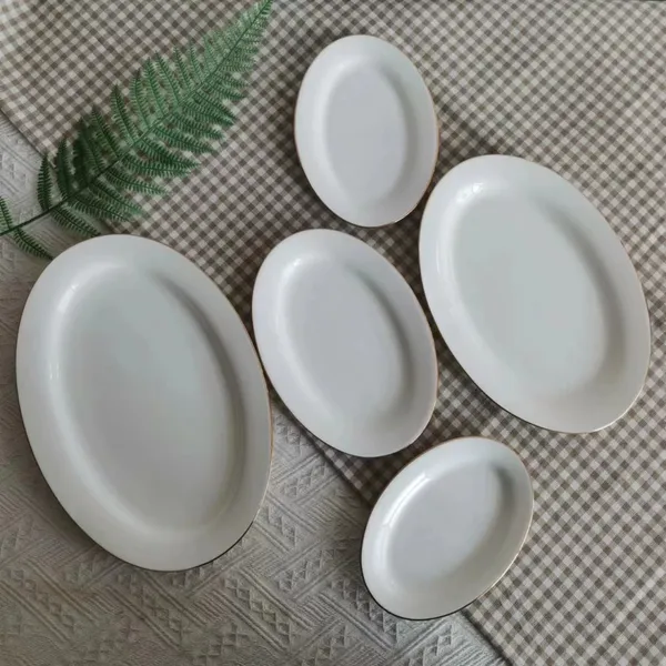 HOMTE Fine Bone China Plate Wholesale OEM Platters Serve for 5 Stars Hotel Rimmed Coupe Oval Shapes photo-5