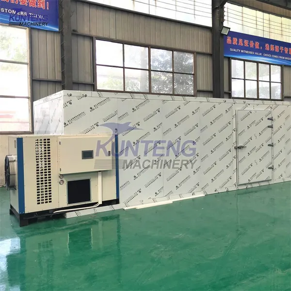 Industrial Fruit Apricots Drying Machine in Pakistan Mango Tomato Banana Herb Copra Dryer Machine EPC photo-5