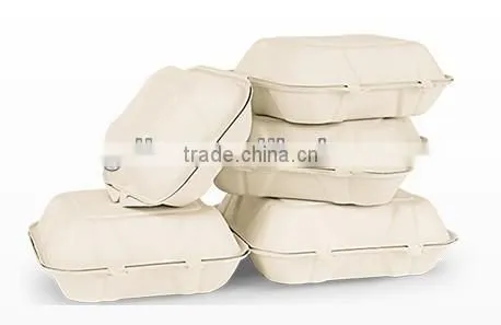 Dispostable Sugarcane Pulp Food Box photo-2