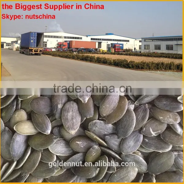 Pumpkin Kernels Grown Without Shell AAA/AA/A/OIL GRADE photo-6