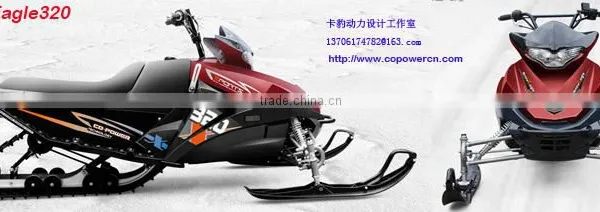 250cc Engine Capacity and 4 Stroke Engine snowmobile (Direct factory)