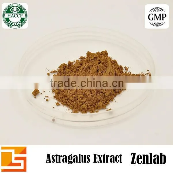 Hot Selling High Quality Polysacchrides 90% Astragalus Extract photo-2