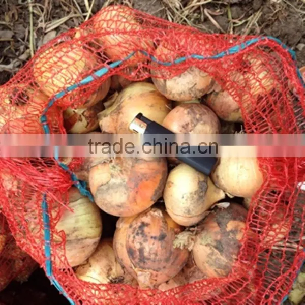 Fresh Red/yellow Onion High Quality From China photo-2