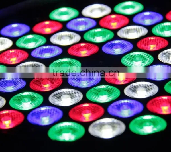 Professional Rgbw 4in1 Waterproof 54pcs 3w Led Par Light photo-3