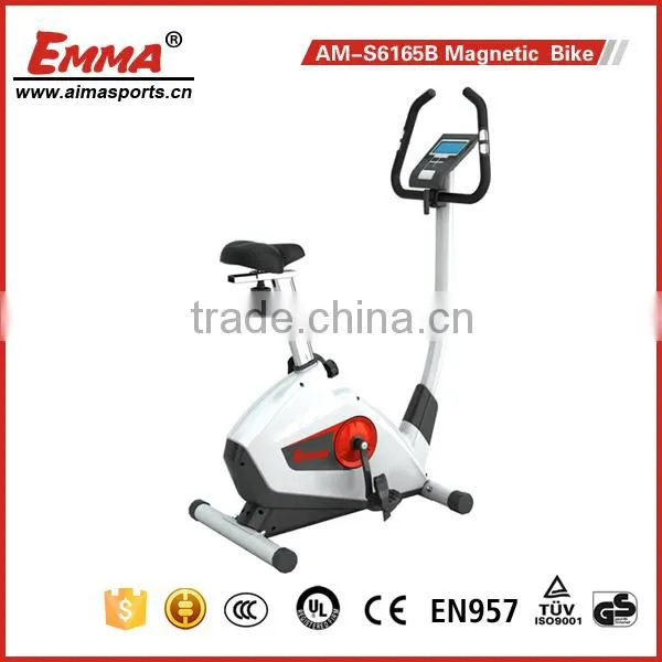 Popular Fitness Equipment Exercise Bike/spin Bike/magnetic Bike 6165B