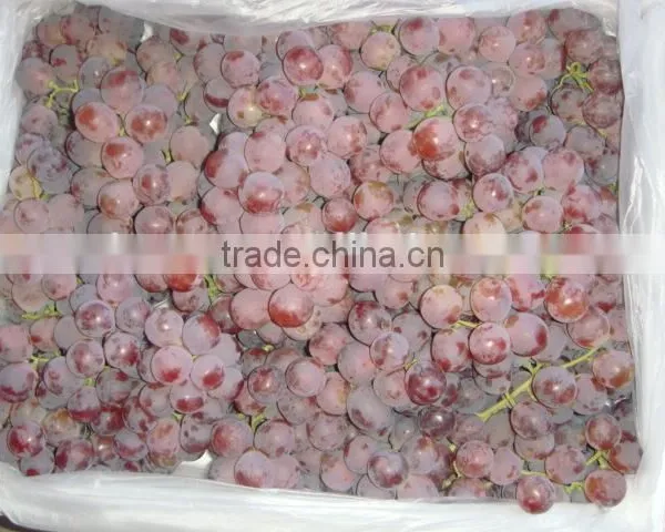 Fresh Style and Grapefruit Type Fresh Fruit From China photo-5