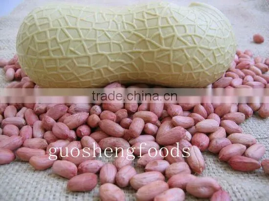 new crop Chinese peanuts kernels