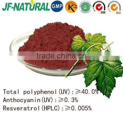 Polyphenol Grape Seed ISO, GMP, HACCP, KOSHER, HALAL Certificated photo-4