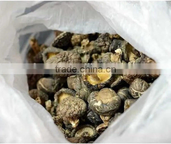 Factory Direct Sale Export Mushroom Price Dried Shitake photo-4
