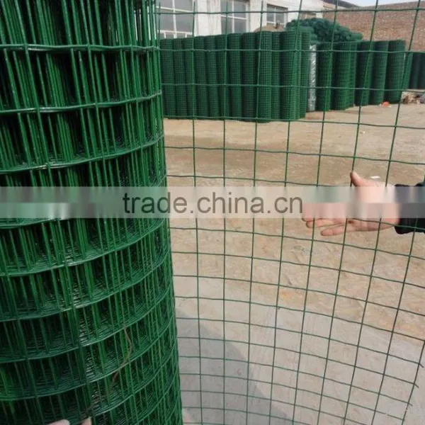 Green Pvc Coated Welded Holland Wire Mesh photo-2