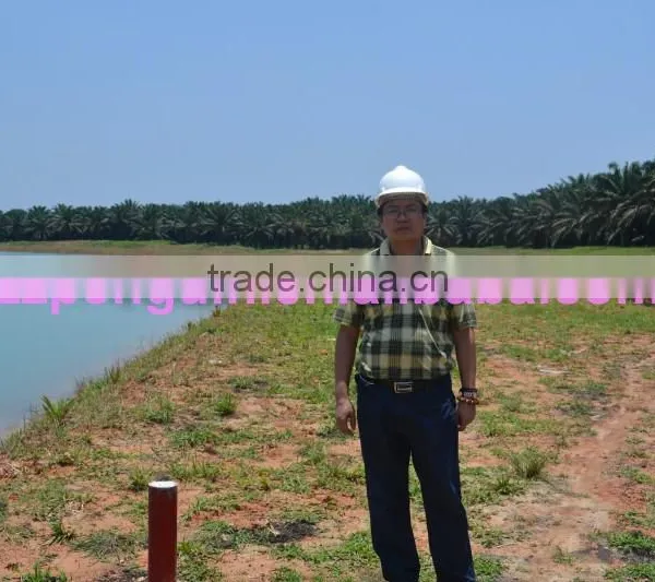 Most Popular Bottom Price in Africa 40TPH Palm Oil Equipment photo-4