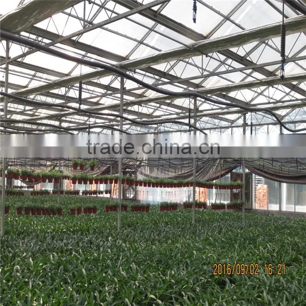 Hot Sale Poly Green House in India photo-2