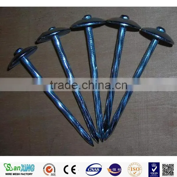 Factory! High Quality Loose Nails, Umbrella Head Roofing Nails photo-4