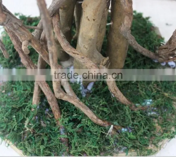 Indoor Decoration Fake Banyan Tree for Sale,fake Banyan Trees photo-3