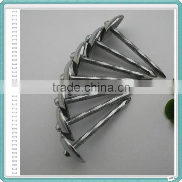 E.G. Umbrella Head Roofing Nails With Low Price From China photo-4
