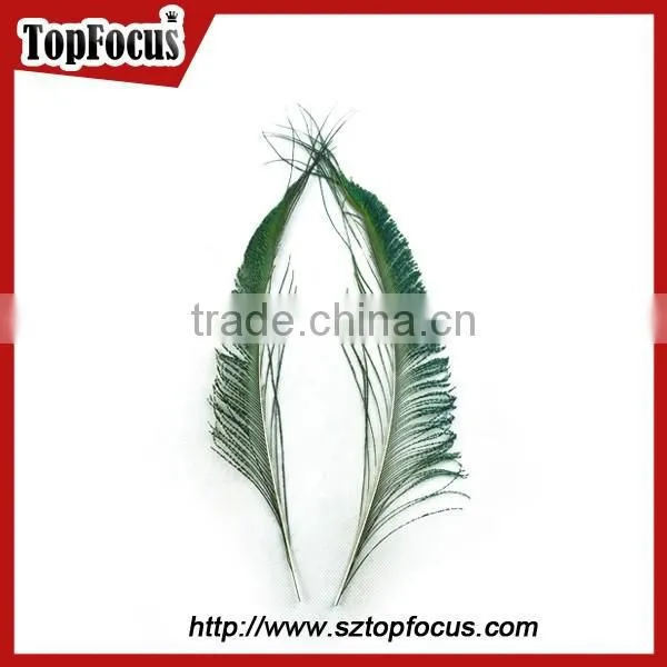 Pack Best Natural Peacock Feathers Long Genuine Halloween Peacock Feather Dress photo-6