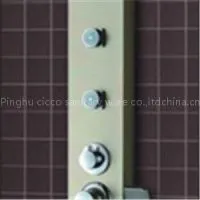 CICCO PVC Shower Panel For Shower Rooms SP3-014