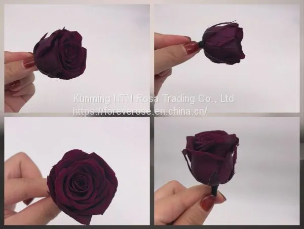 Preserved Rose Flowers for Wedding Decoration Flower Arrangement photo-3