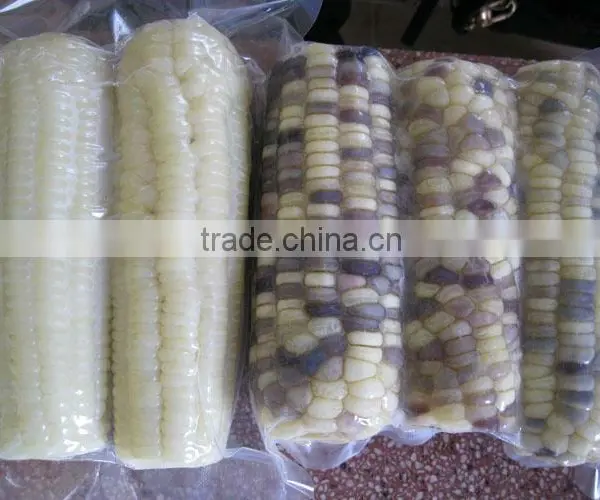 USA Fresh Yellow Sweet Corn Vietnam With Best Price photo-2