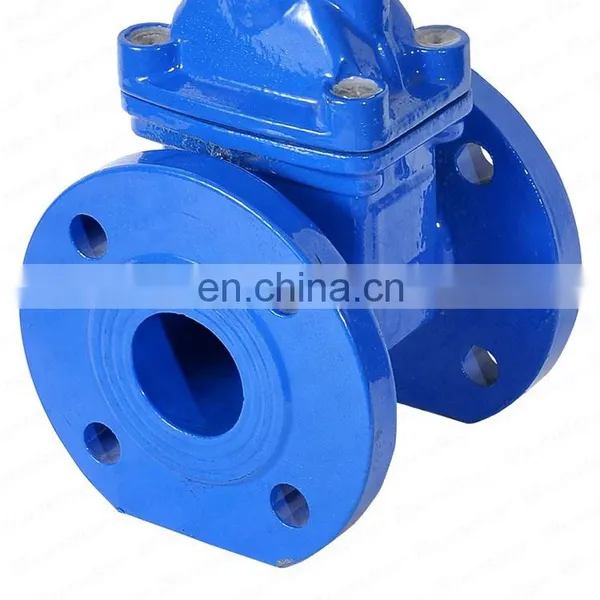 Bundor Non Risng Stem Gate Valve Double Bonnet 2 Inch 4 Inch Water Flanged Gate Valve photo-3