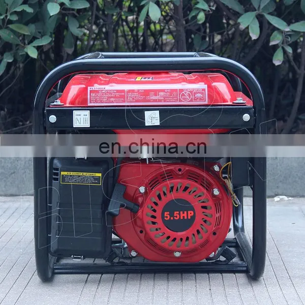 Bison China 110/220V Customized Cheap 3Kw Electric Start Gasoline Generator Set photo-3