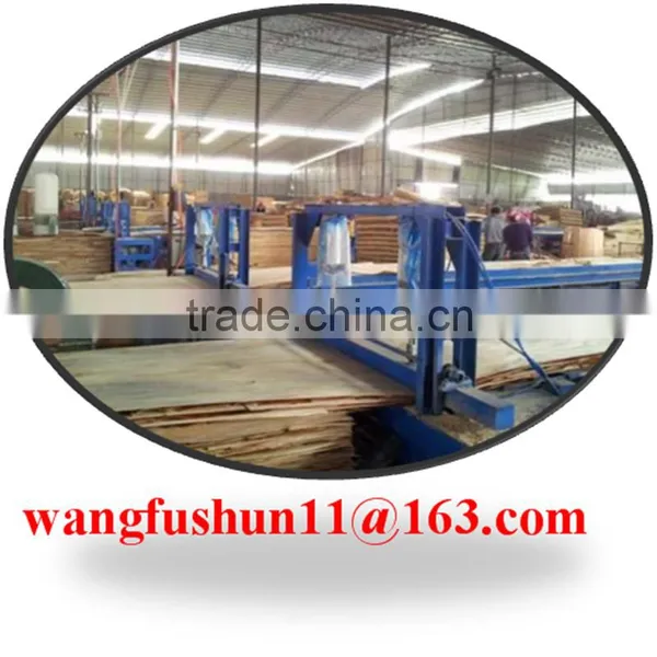 Dubai Poplar LVL for Door Core Best Quality Dubai Poplar Lvl photo-3
