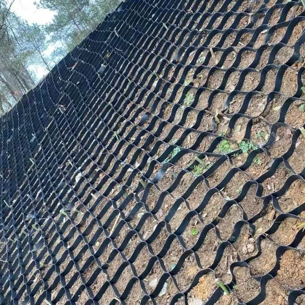 Polymer Honeycomb Geocell for Road Slope Greening TGLG-PE-75-600-1.5
