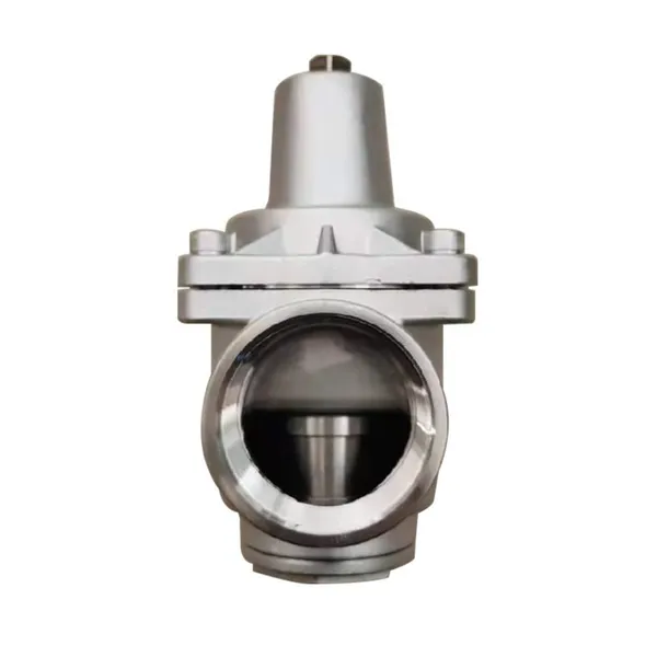 Hot Selling Stainless Steel Pressure Relief Valve Threaded Safety Valve photo-2