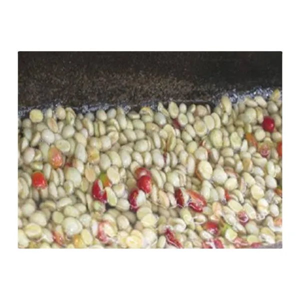Green Coffee Bean Processing Unit Machine for Coffee Processing Line