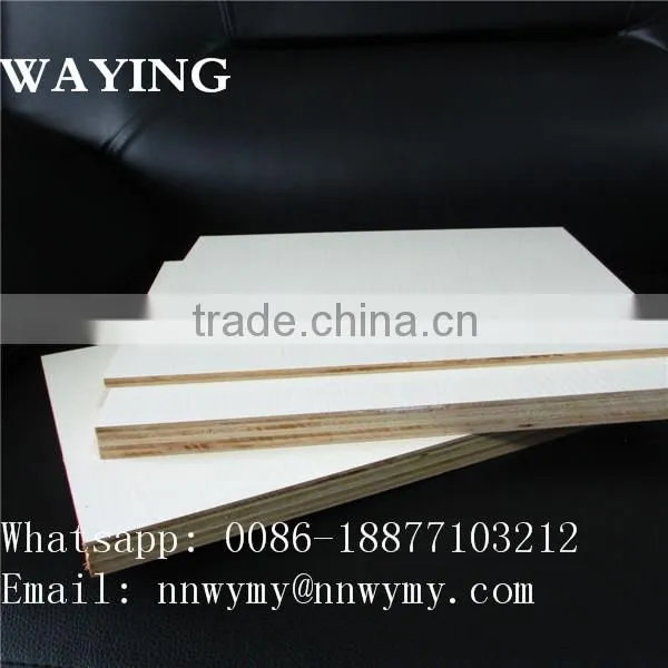Bent Plywood photo-6