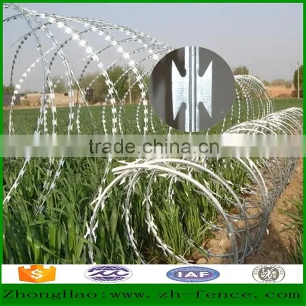 High Quality Low Price Outdoor Using Concertina Razor Barbed Wire Security Fence photo-4