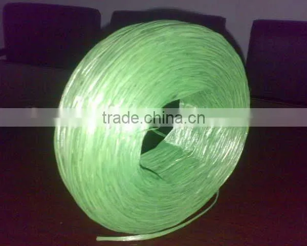 Polythene paper raffia string / Rope