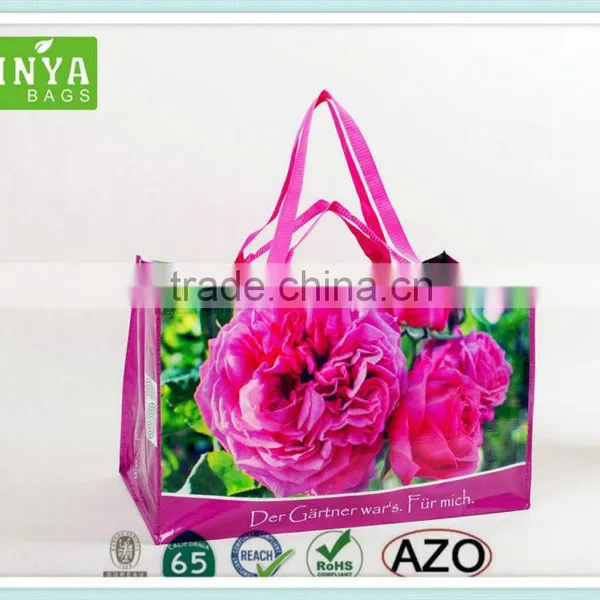 Fashion Shopping Bag on Sale,nice Bag ,pp Woven Bag photo-6