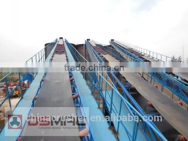 With New Design of Roller Conveyor From DSMAC photo-2