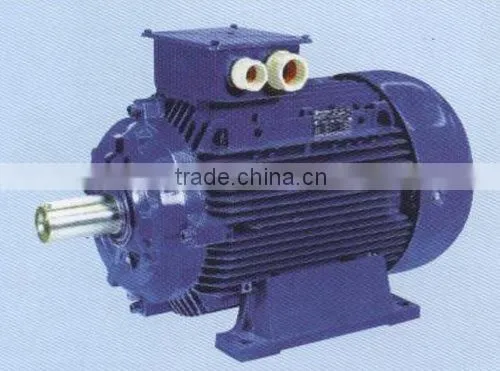 Ac Induction Motor