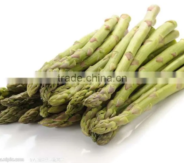 Frozen Asparagus, IQF Asparagus photo-3