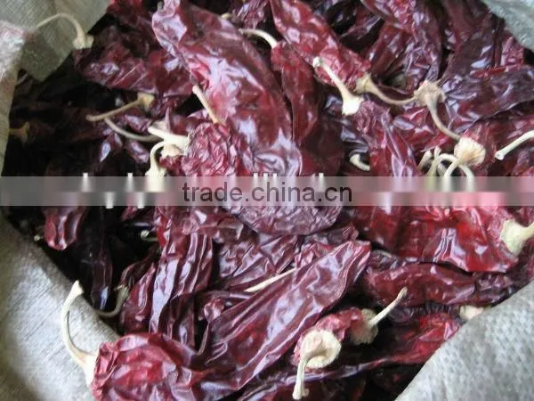 Red Paprika Pods photo-2