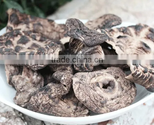 Dried Sarcodon Imbricatus Mushroom photo-5