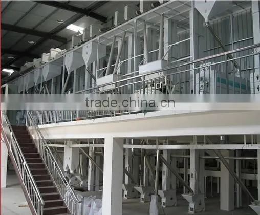 Parboiled Rice Plants