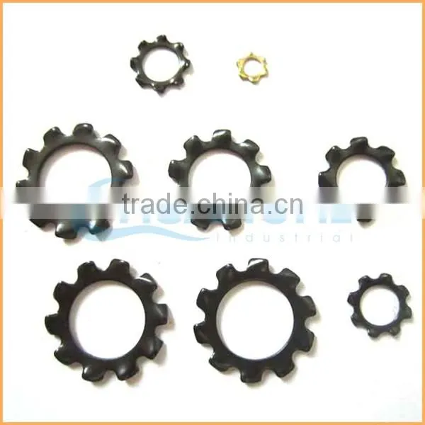China Professional Manufacturing Precision Wave Spring Lock Washer photo-3