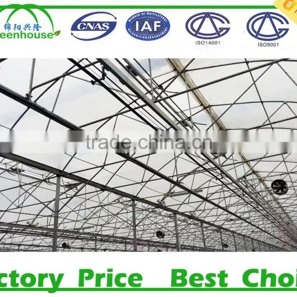 High Quality Plastic Film Commercial Greenhouse for Sale photo-5