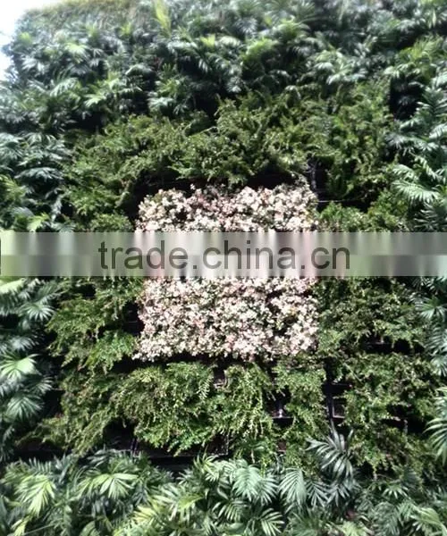 SOL 2015 NEW DESIGN Vertical Green Green Wall Planter Plastic Green Wall Planter photo-2